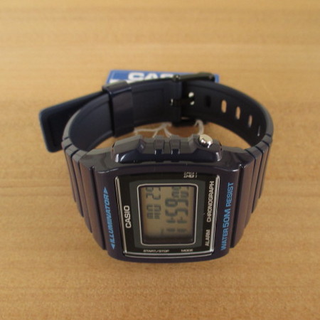 日本未発売！海外モデル！ＣＡＳＩＯ（ＪＡＰＡＮ）スタンダード 